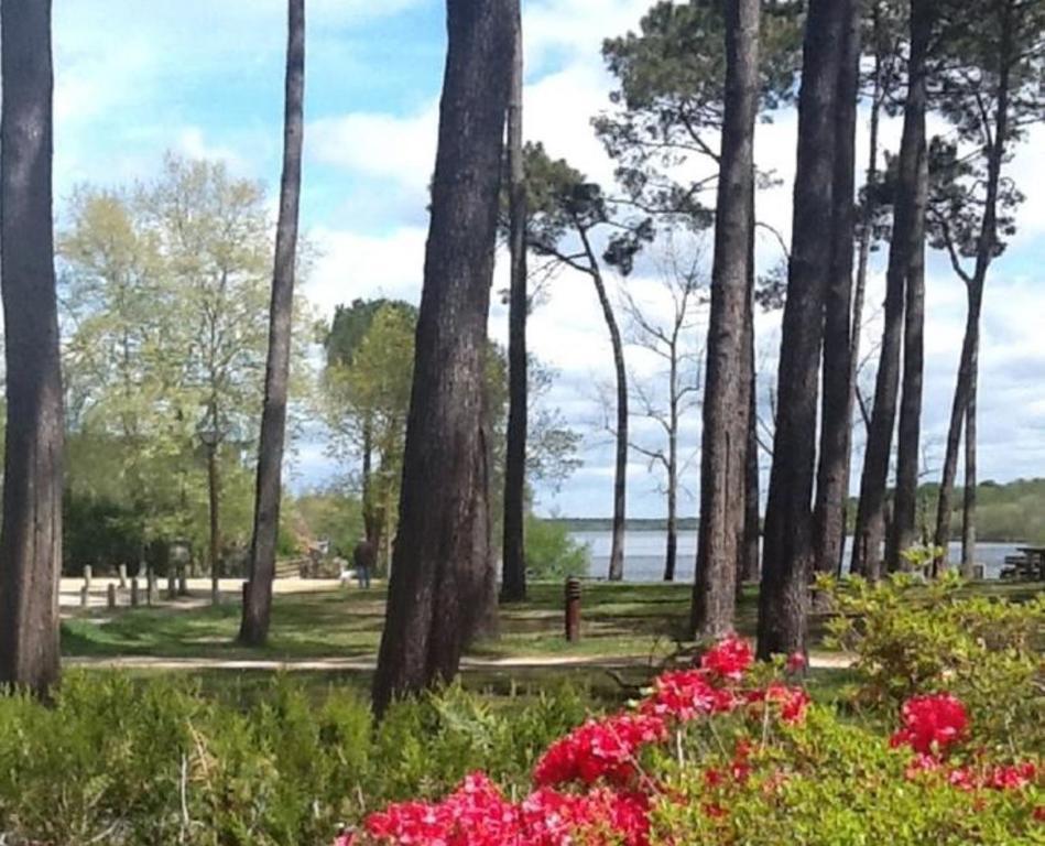 Hotel Au Bon Coin Du Lac มีมีซ็อง ภายนอก รูปภาพ